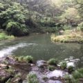 嵐山月川荘キャンプ場感想ブログ【写真あり】ソロキャンプに行ってきた